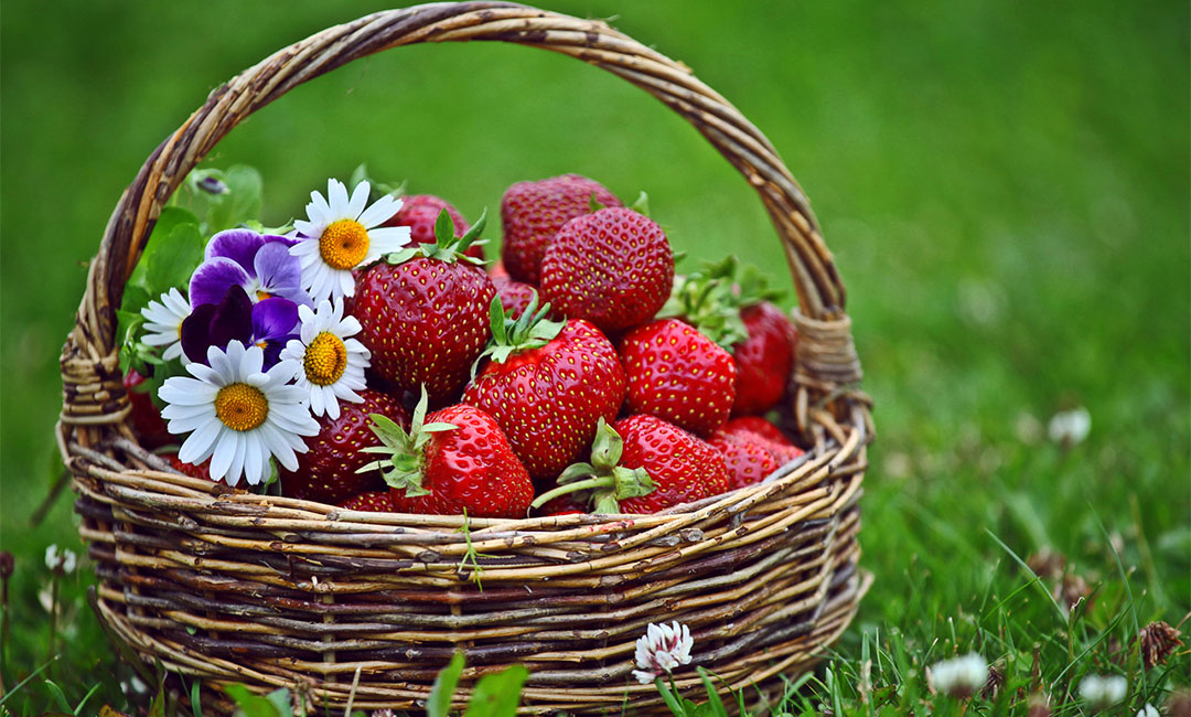 丰台点呀点水果电商APP开发案例